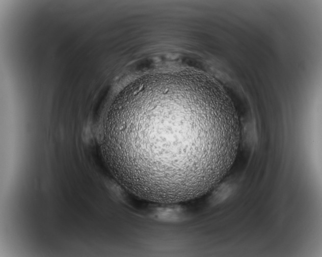 X0000085070274200703121648