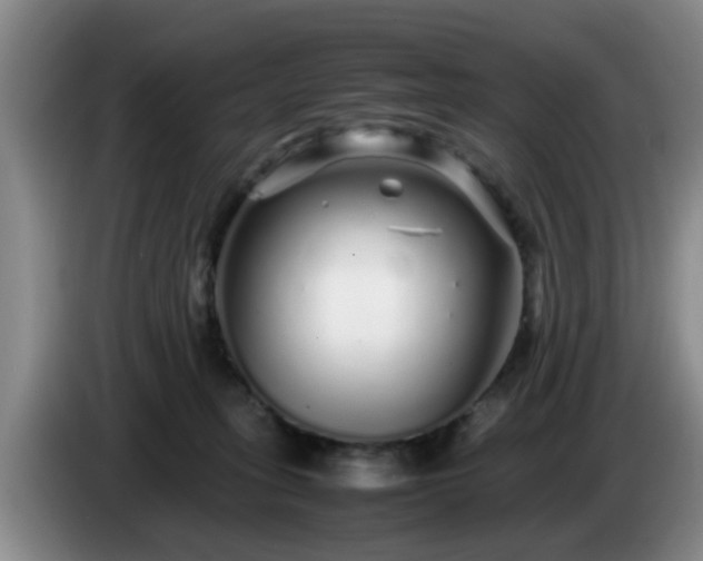 X0000085070275200703121648