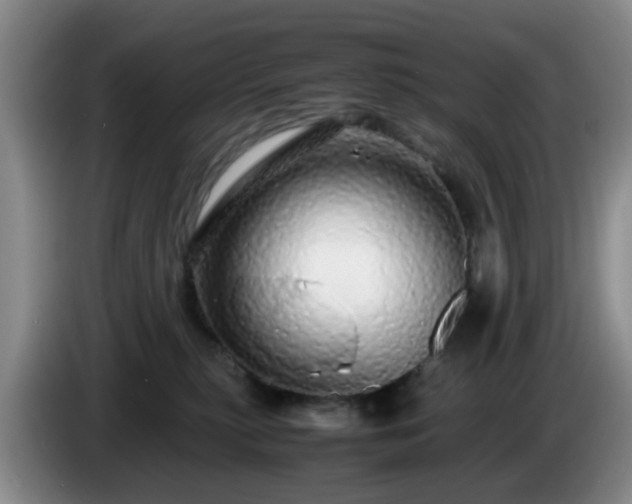 X0000085070279200703121648