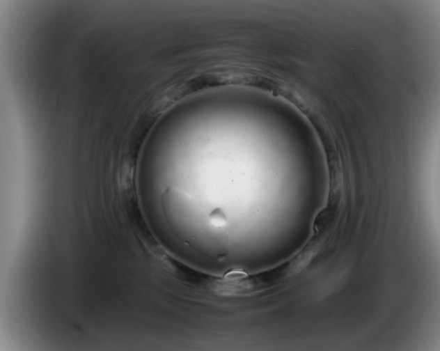 X0000085070281200703121648