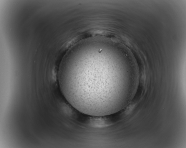 X0000085070282200703121648