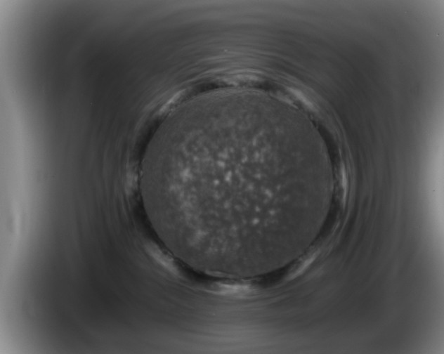 X0000085070284200703121648