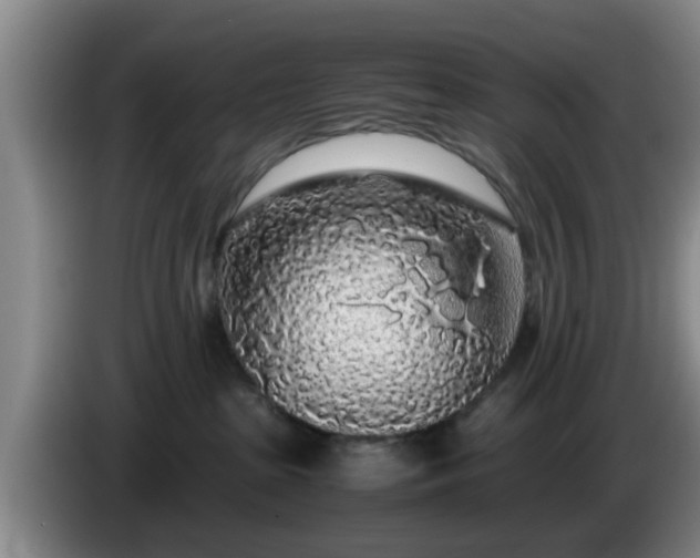 X0000085070285200703121648