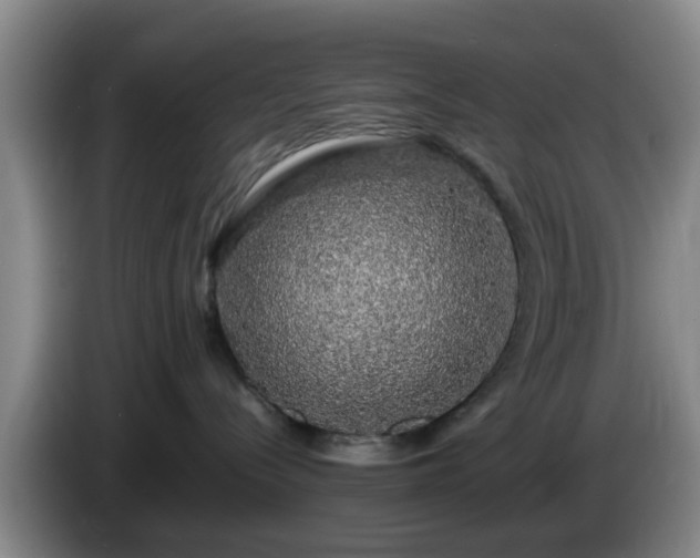 X0000085070288200703121648