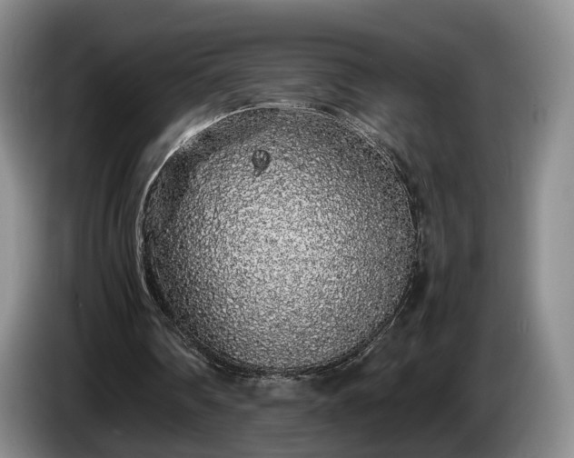 X0000085070290200703121647