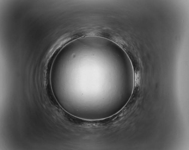 X0000085070291200703121647