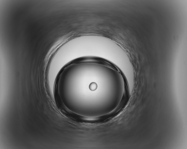 X0000085070293200703121647