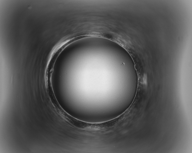 X0000085070294200703121647