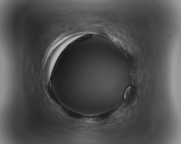 X0000085070295200703121647