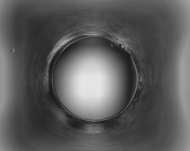 X0000085070296200703121647