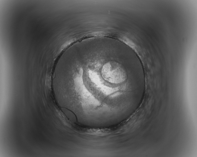 X0000085070297200703121647