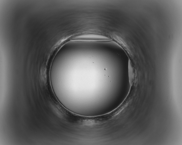 X0000085070298200703121647