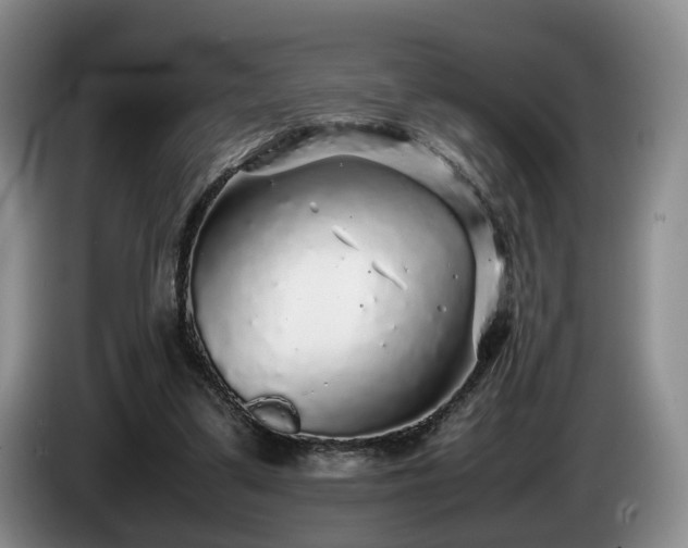 X0000085070299200703121647