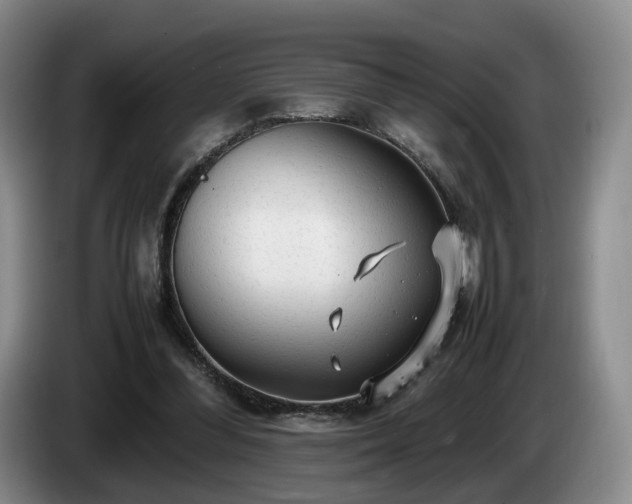 X0000085070300200703121647