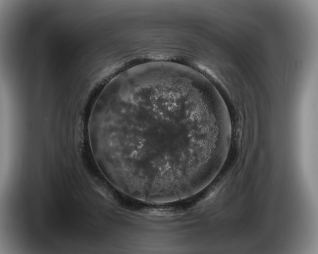 X0000085070303200703121647