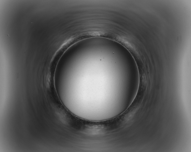 X0000085070304200703121647