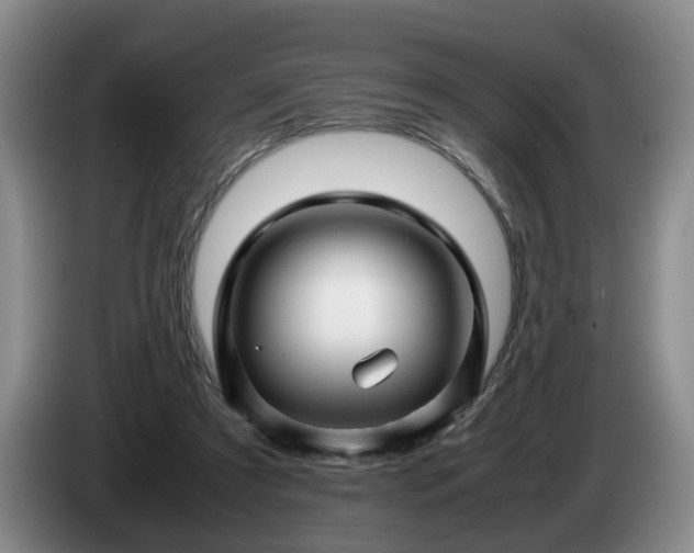 X0000085070305200703121647