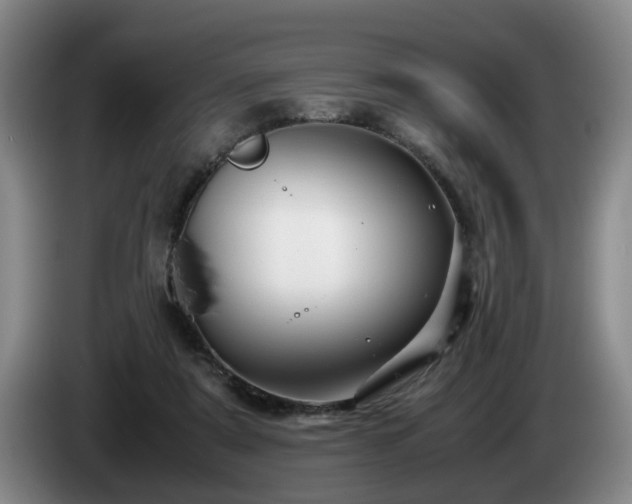 X0000085070307200703121647