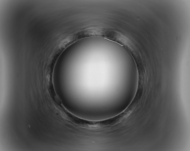 X0000085070309200703121647