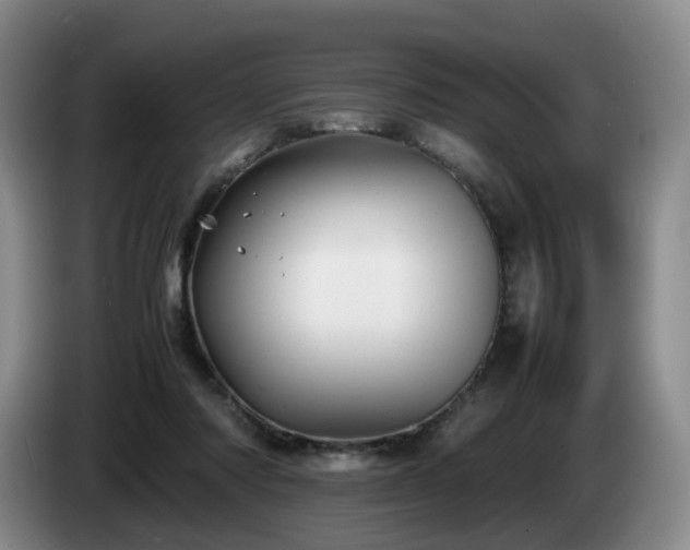 X0000085070310200703121647