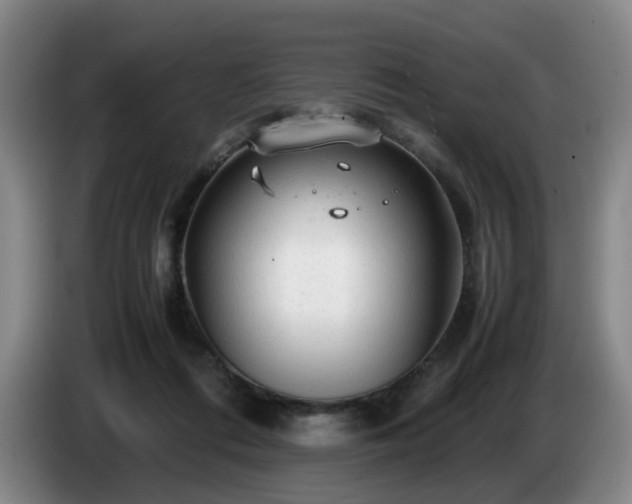 X0000085070312200703121647