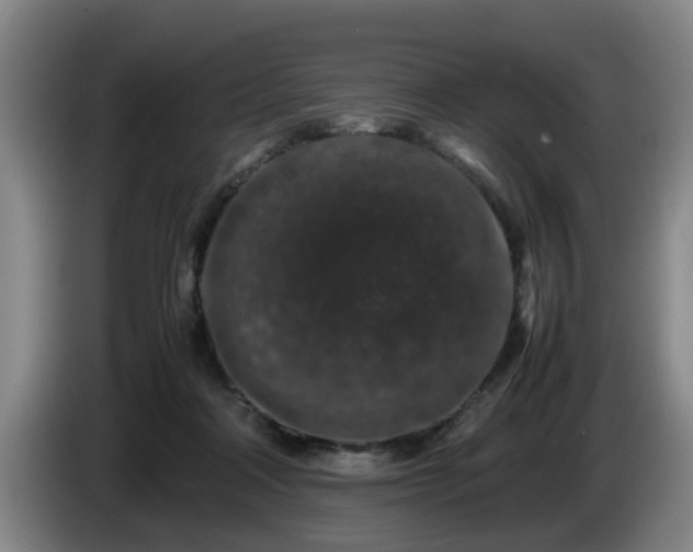 X0000085070314200703121647