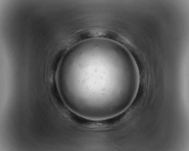 X0000085070315200703121647