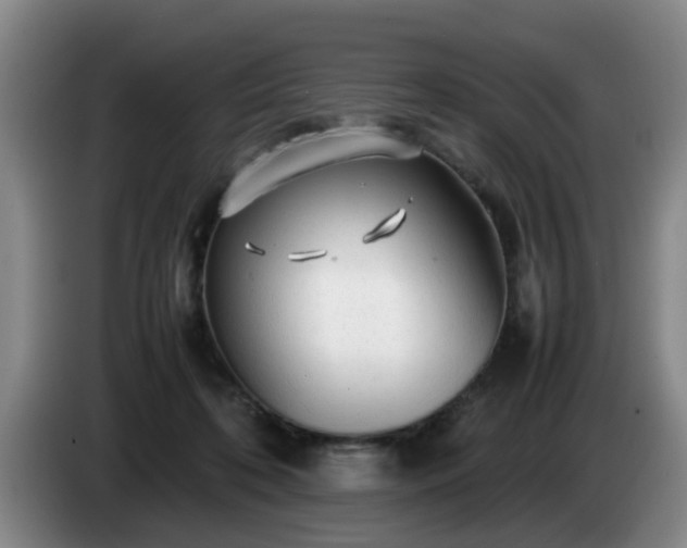 X0000085070316200703121647