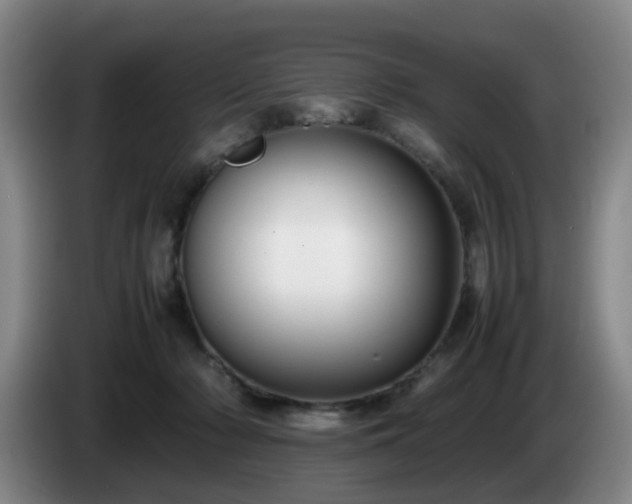 X0000085070318200703121647