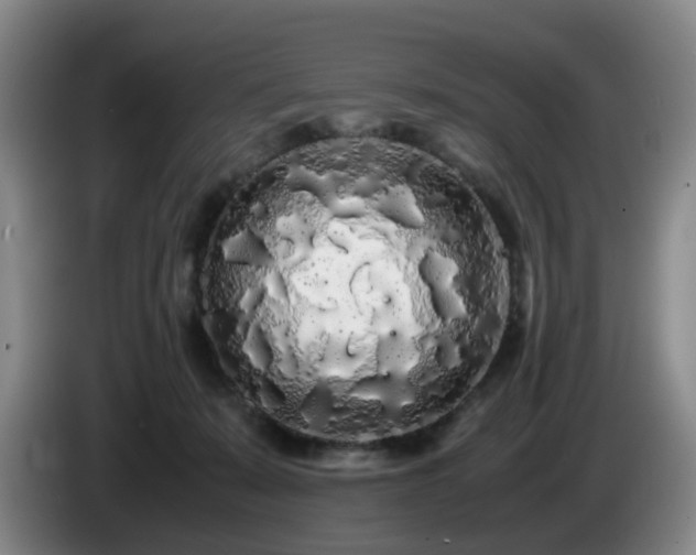 X0000085070319200703121647