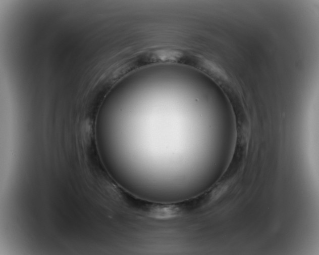 X0000085070321200703121647