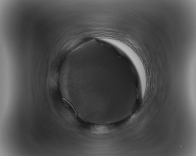 X0000085070325200703121647