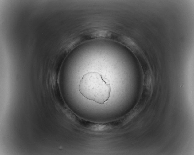 X0000085070326200703121647