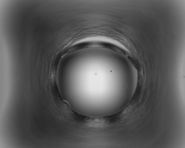 X0000085070329200703121647