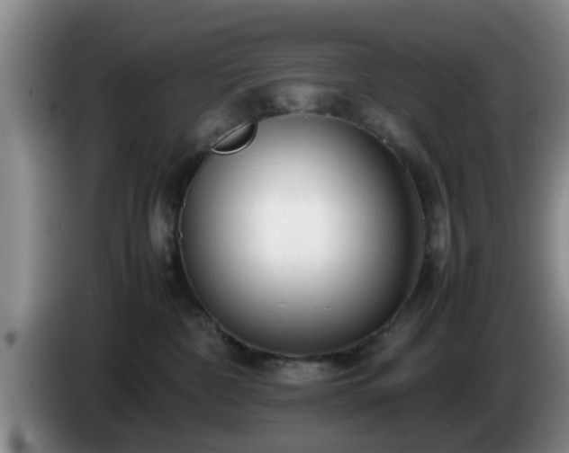 X0000085070332200703121647