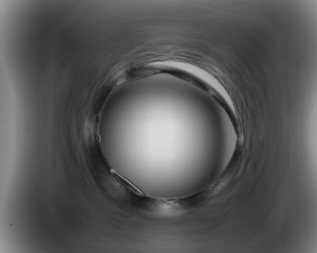 X0000085070333200703121647