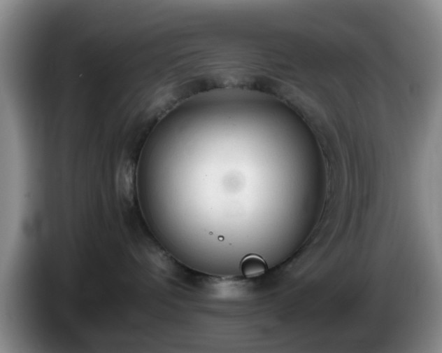 X0000085070336200703121647