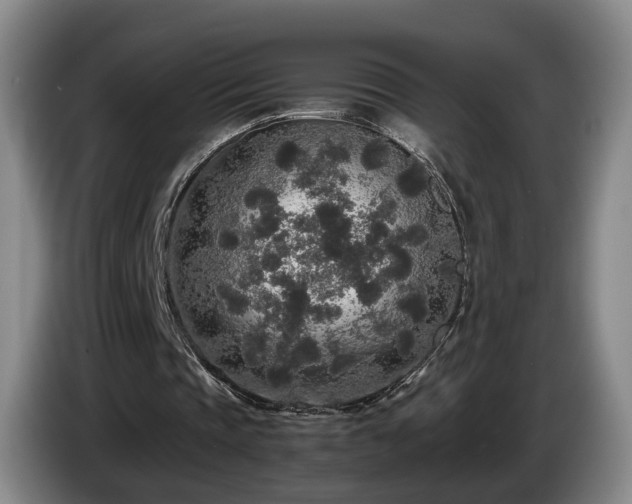 X0000085070337200703121646