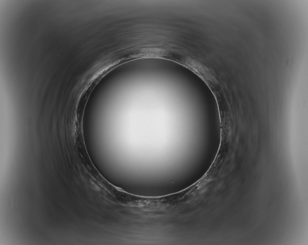 X0000085070338200703121646