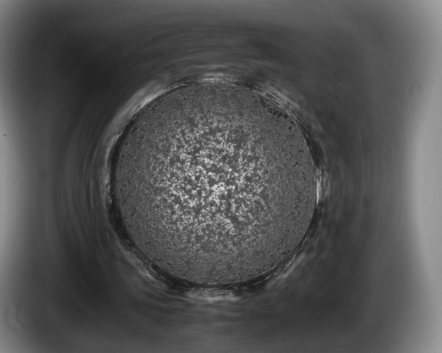 X0000085070339200703121646