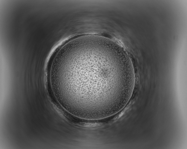 X0000085070342200703121646