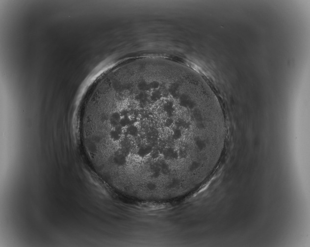 X0000085070343200703121646