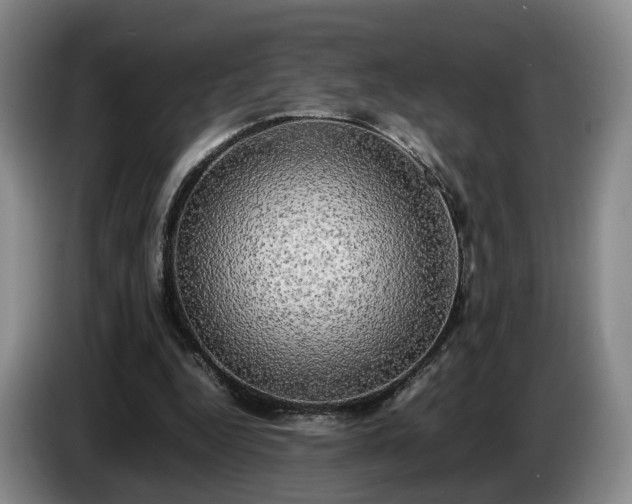 X0000085070344200703121646