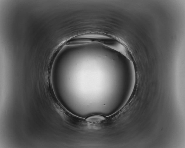 X0000085070345200703121646