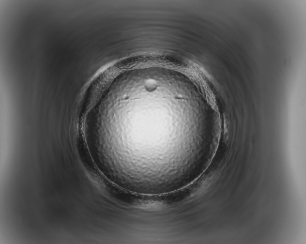 X0000085070348200703121646