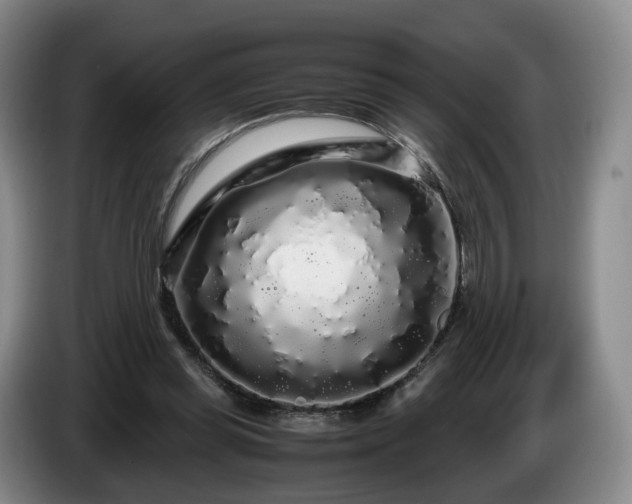 X0000085070349200703121646