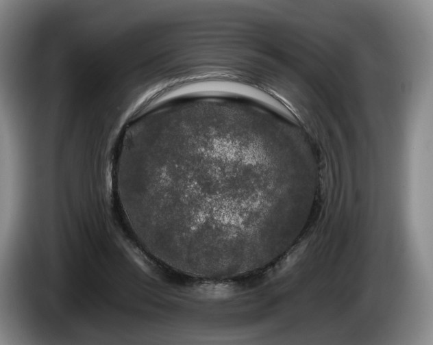 X0000085070350200703121646