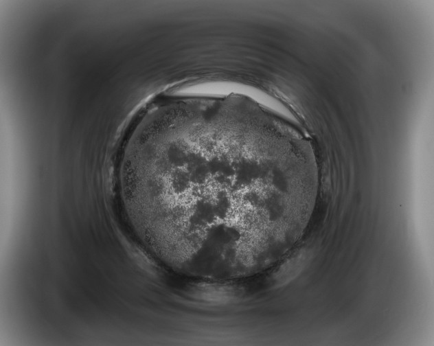 X0000085070351200703121646