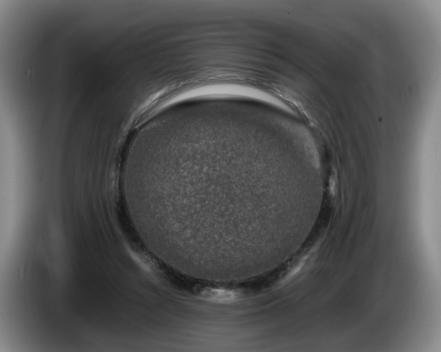 X0000085070352200703121646