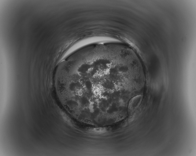 X0000085070353200703121646